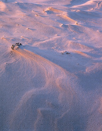 Budle Bay
