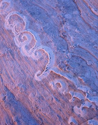 Coral Patterns