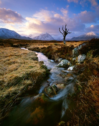 Lone Tree, Rannoch
