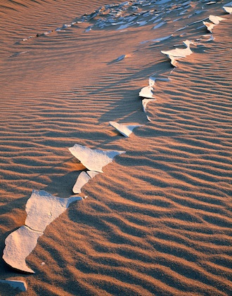Mesquite lakebed 1