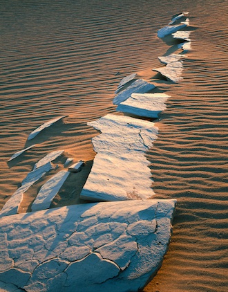 Mesquite lakebed 2