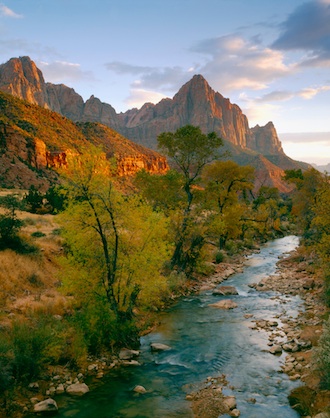 The Watchman
