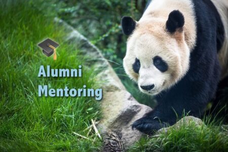 WWF Alumni Mentoring
