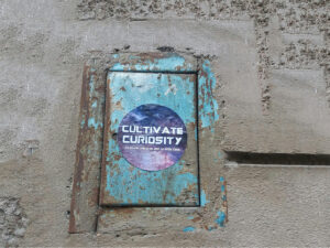 Cultivate Curiosity