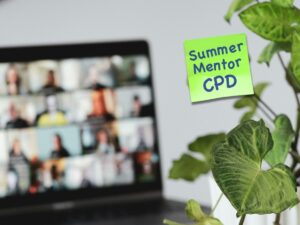 Summer Mentor CPD