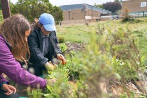Young people grow outside