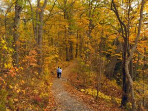 Coaching in Nature