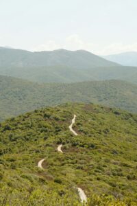 Meander