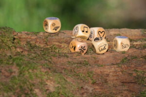 Climate Change Dice