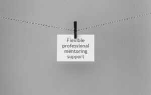 Flexible professional mentoring support