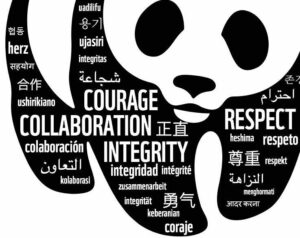 WWF Values